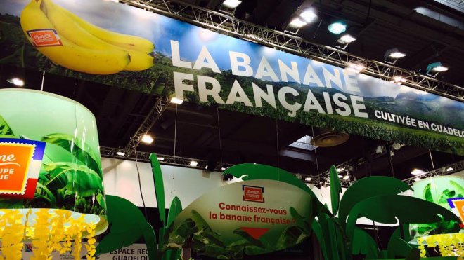 © N.LM forte communication sur les productions des Antilles